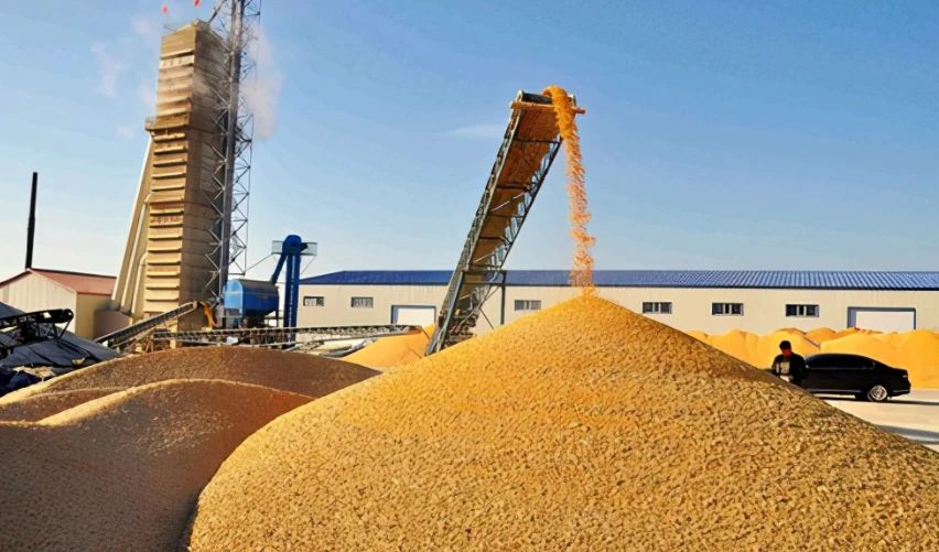 美国为什么向中国出口粮食,美国为何要向我国出口粮食