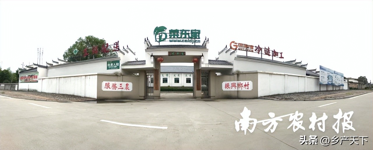 冯毅:菜东家成为农产品供应链的“独角兽”