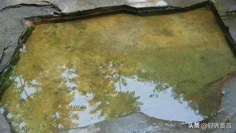 桂林象鼻山中的象鼻岩在哪,桂林象鼻山还有什么山