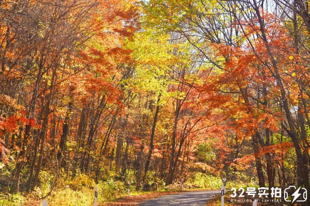 长白山的秋季,长白山夏天和秋天的区别