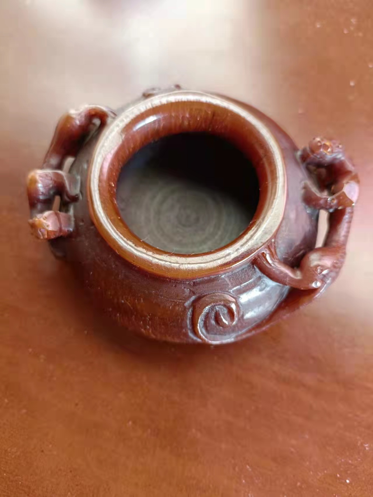 亚洲犀牛角图,亚洲犀牛角欣赏