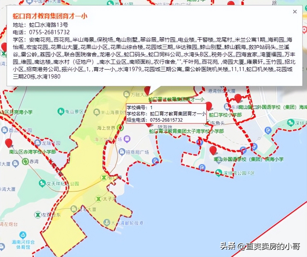 南山区重点小学,南山区重点小学和初中排名