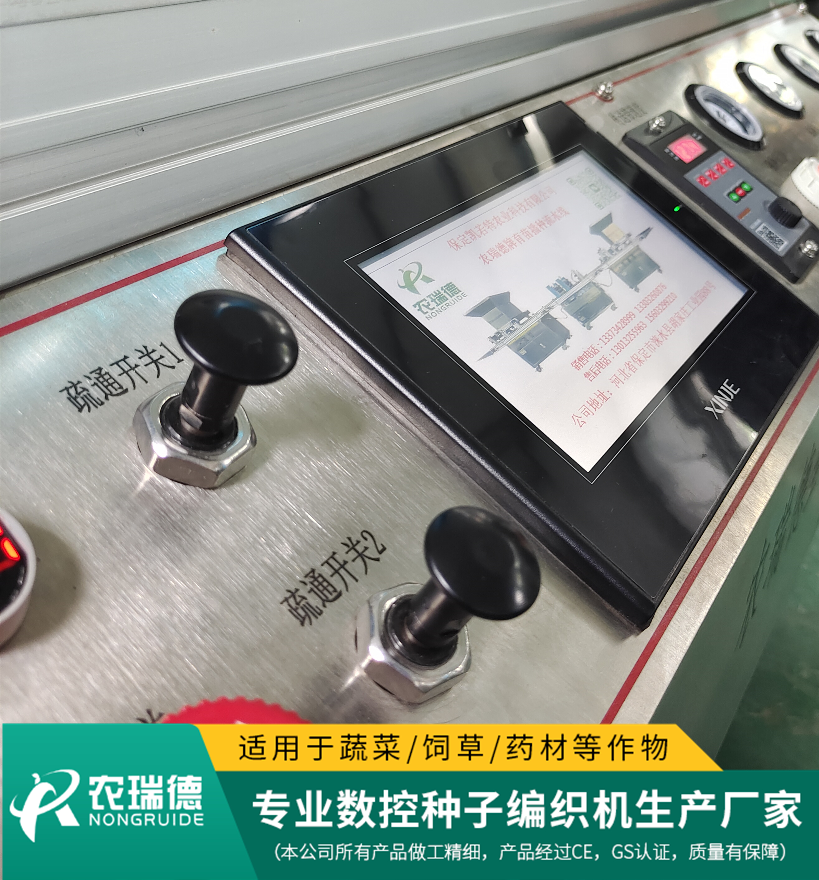 羽衣甘蓝穴盘育苗,甘蓝育苗盘育苗方法视频