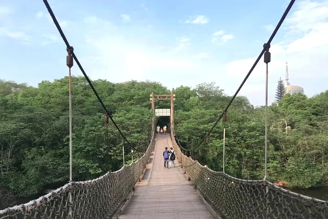 莫负*光春**｜这5家希酒店旁的公园真的太美了