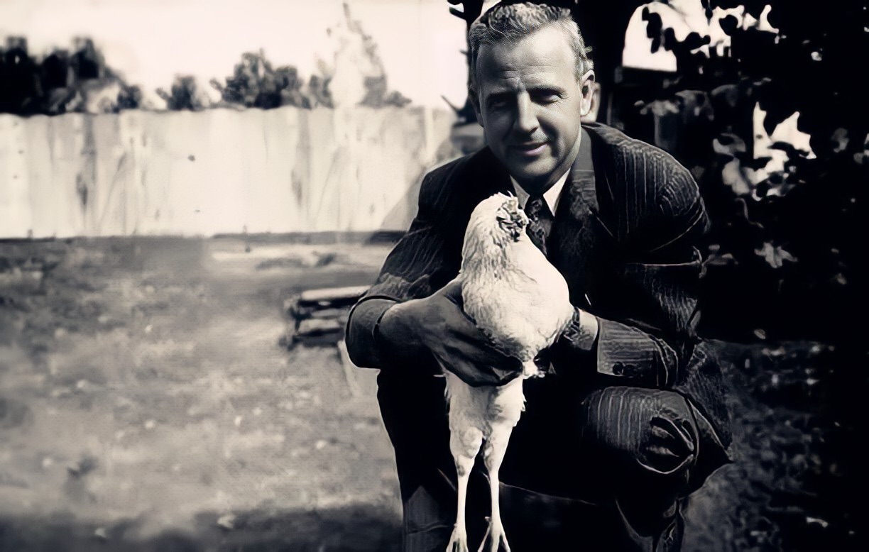 美国无头鸡的传奇,美国无头鸡原视频