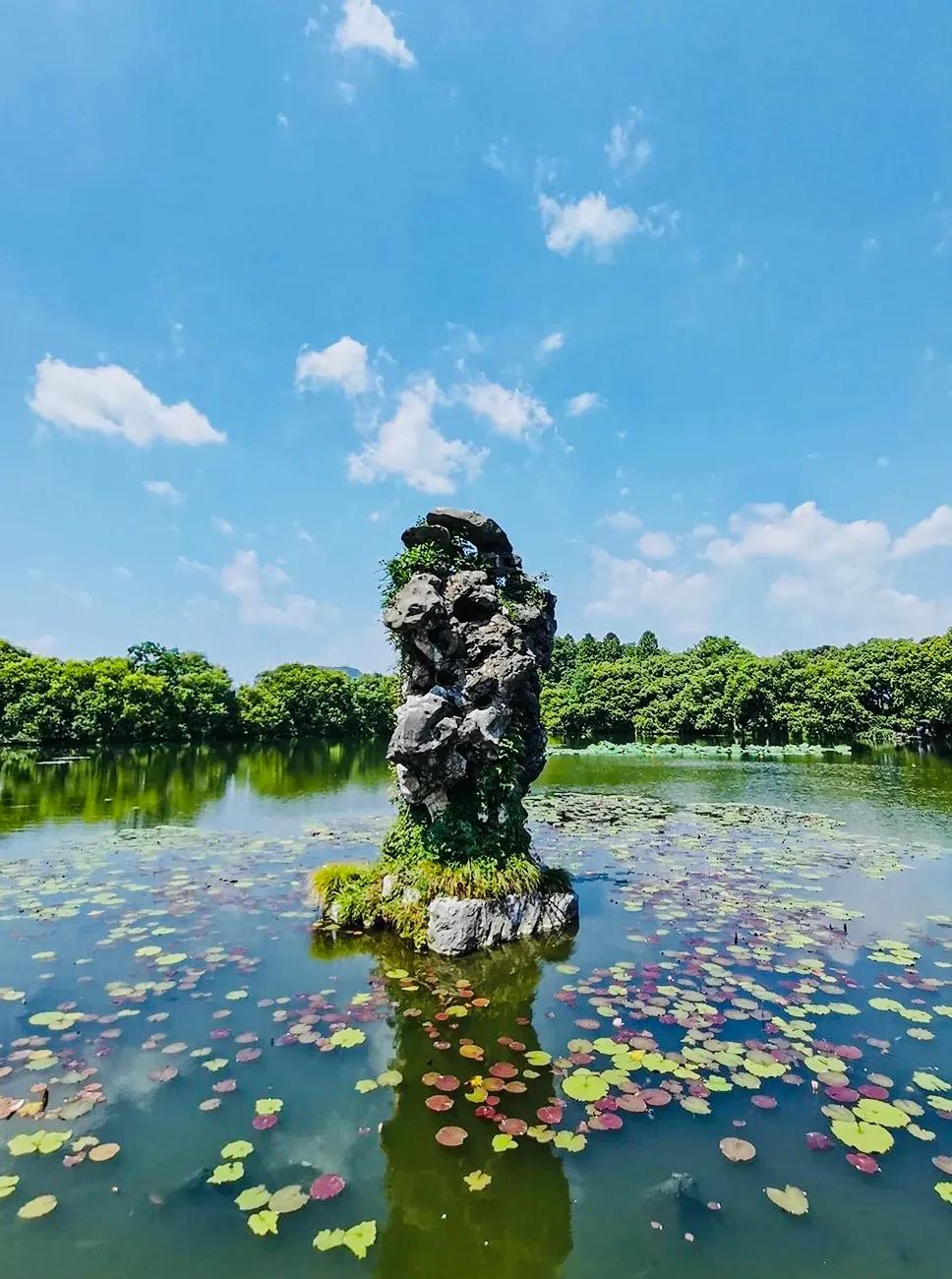 杭州西湖大雪纷飞,杭州西湖风景名胜区