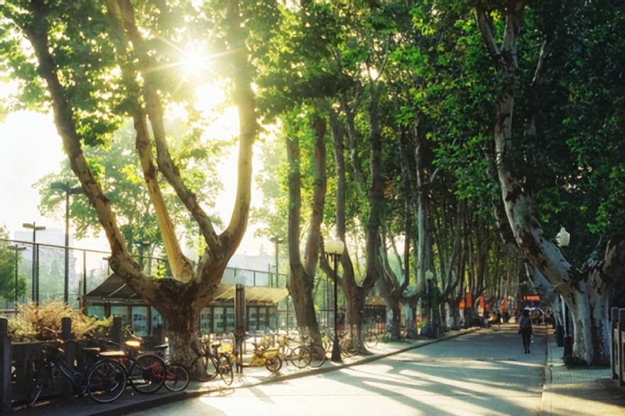 南京航空航天大学第几批,南京航空航天大学自主研制的卫星