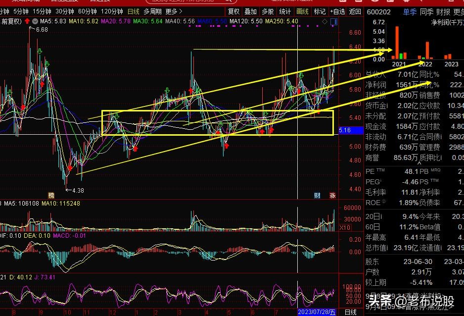 老白干酒600559后市预言,老白干酒600559未来估值分析