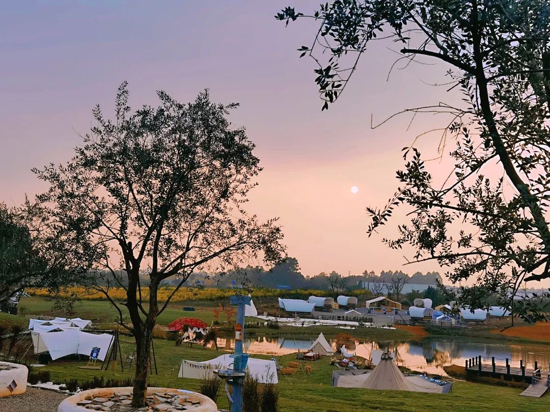 空港花田几点免费,空港花田最新信息