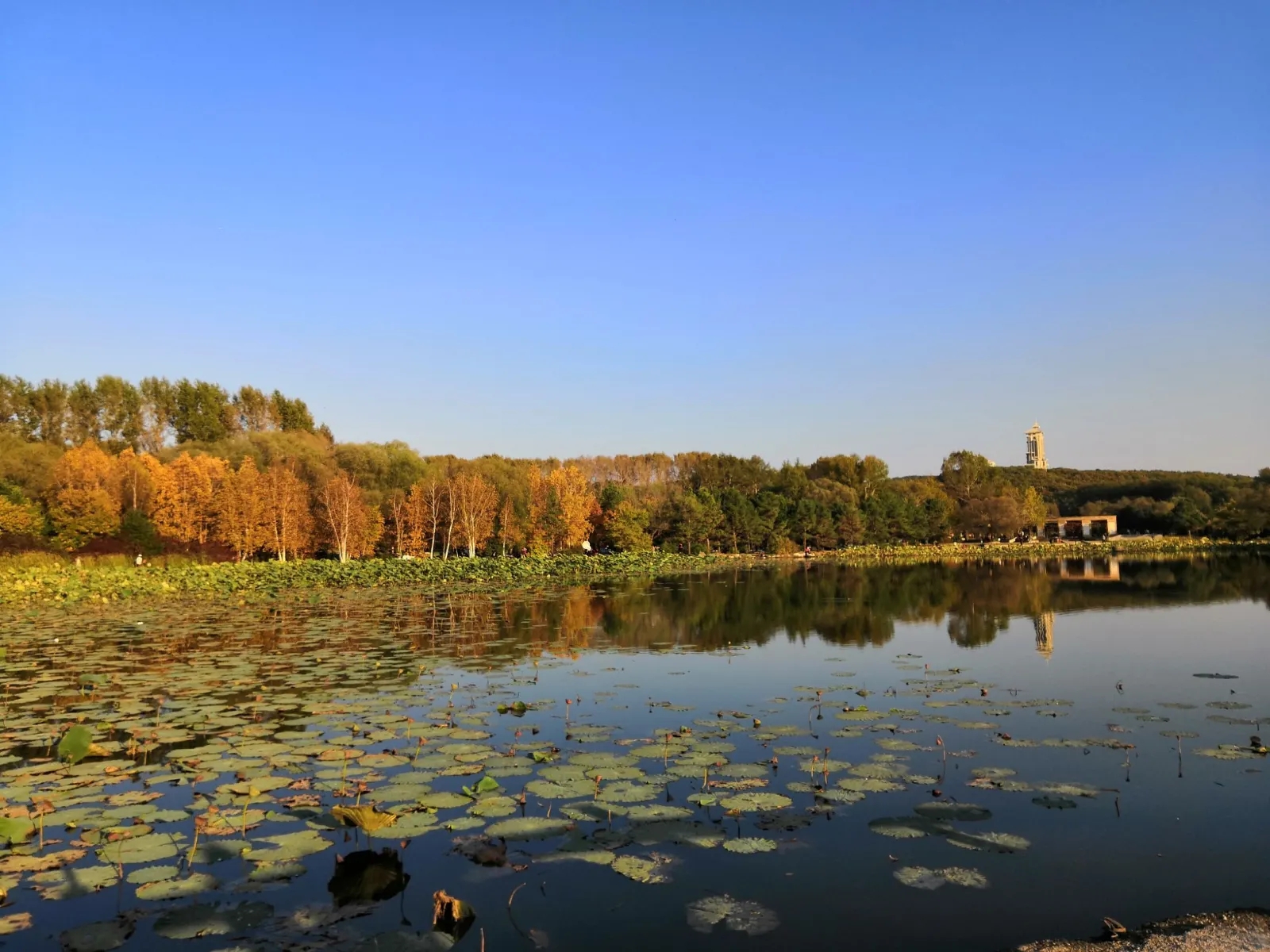 吉林市好玩的景点排名,吉林省旅游十大必去景区