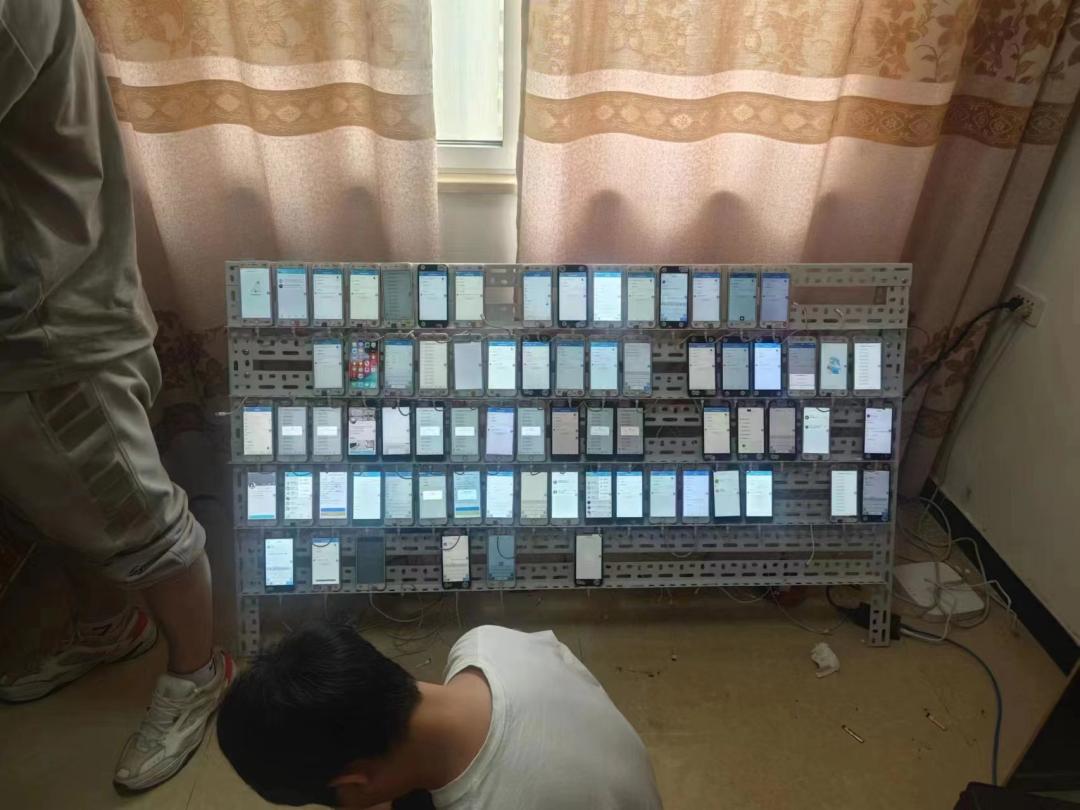 公安机关重拳出击打击违法犯罪,武汉警方打击犯罪