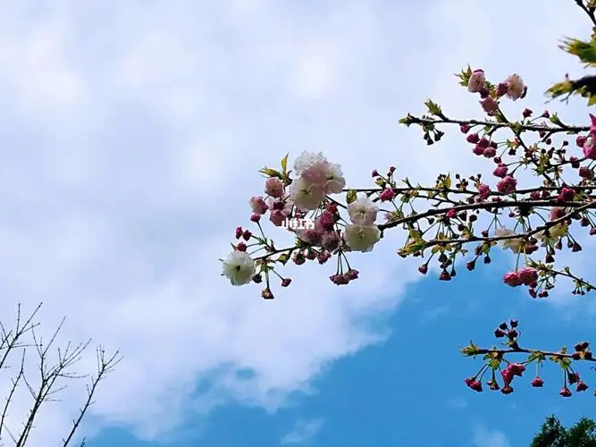 和老公脾气不和无法沟通怎么办,和老公严重性格不合怎么办