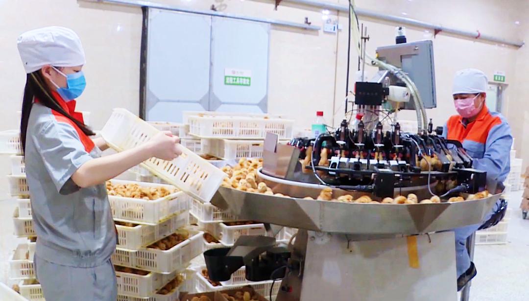 招商引资五年重点工作,精心筑巢引凤来招商引资促发展