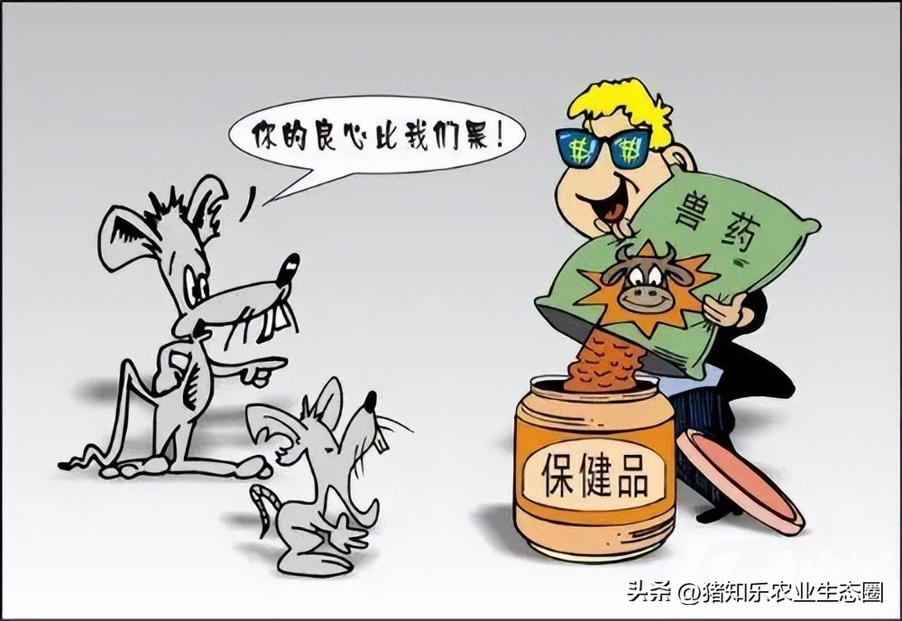 养猪受到村里欺压怎么办,养猪人被猪欺负视频