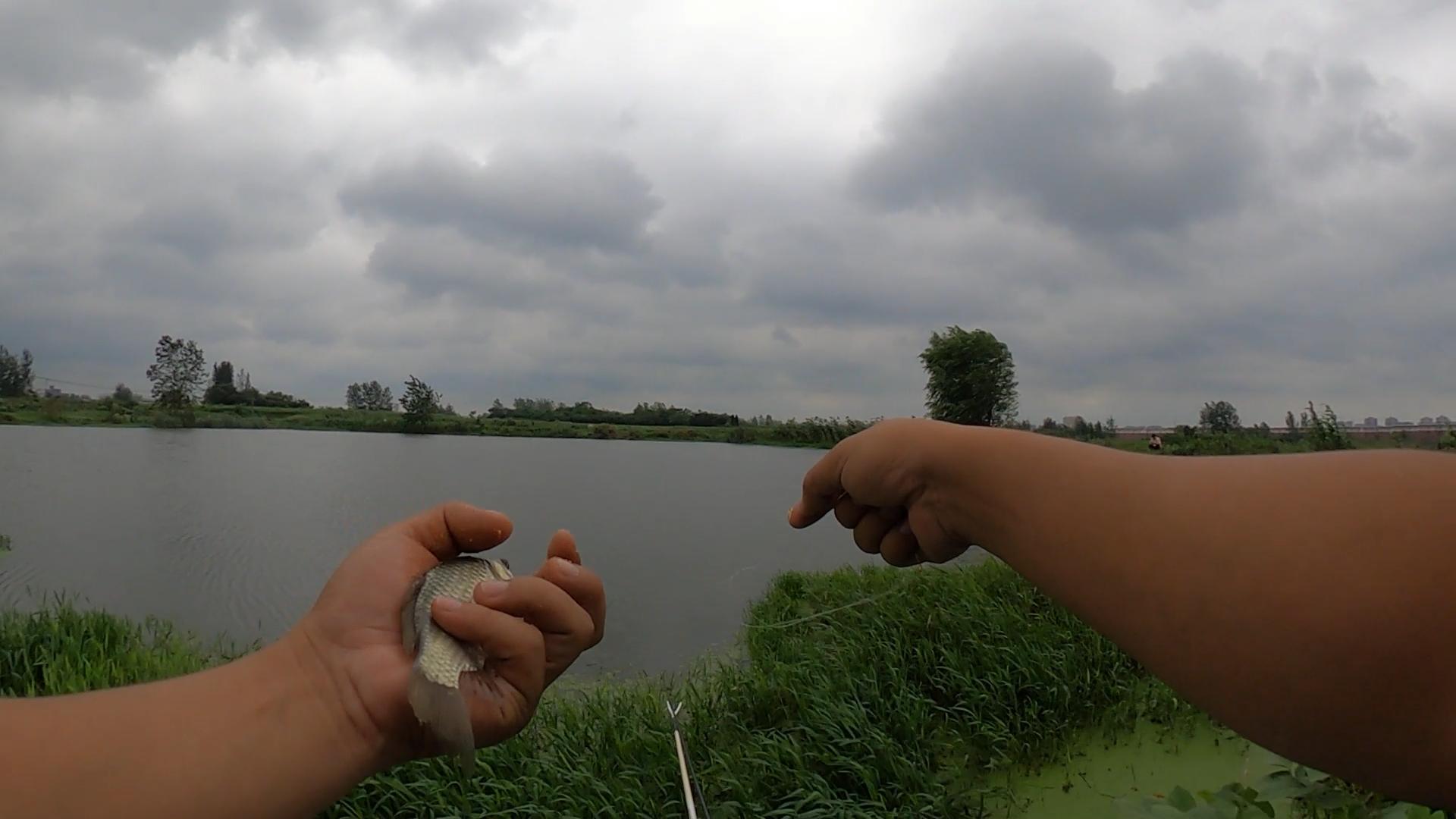 夏天鱼口很轻该怎样看漂,天冷鱼口轻漂调几目