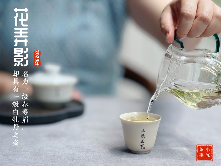 新白茶老白茶冲泡方法的区别,新白茶苦涩怎么治