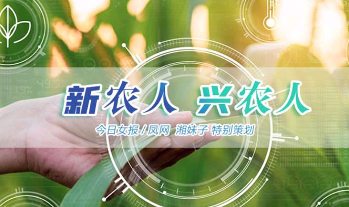 香港美心冰皮月饼好吃吗,香港美心冰皮月饼是素食吗