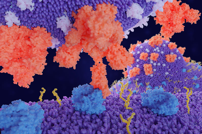 感染新冠病毒有什么后果,感染新冠病毒对生殖器官有影响吗