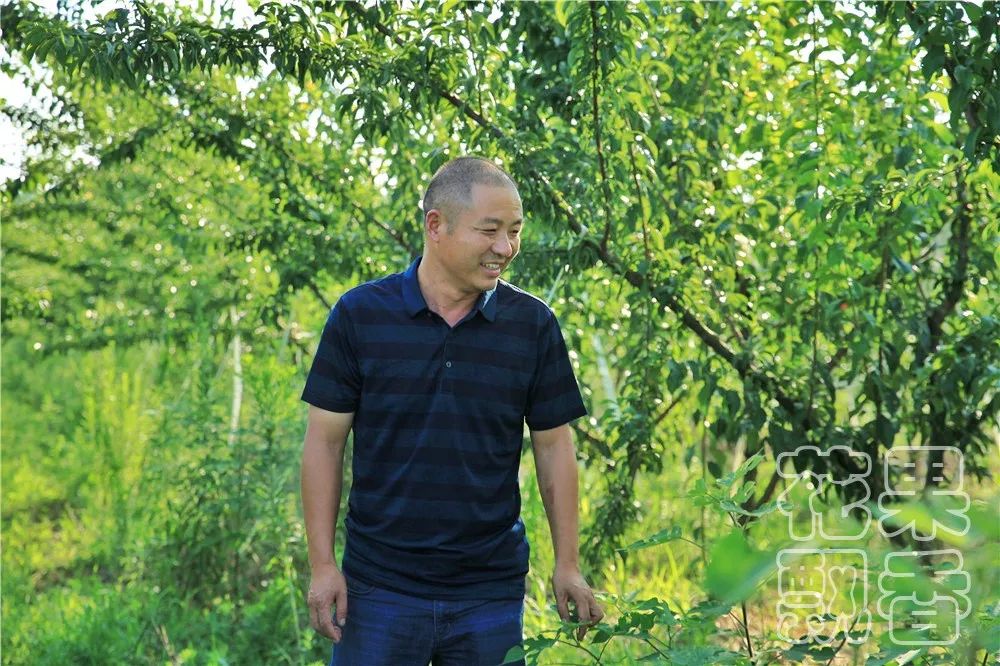 老板,这个水果多少钱?不用,你帮我介绍客户就行了