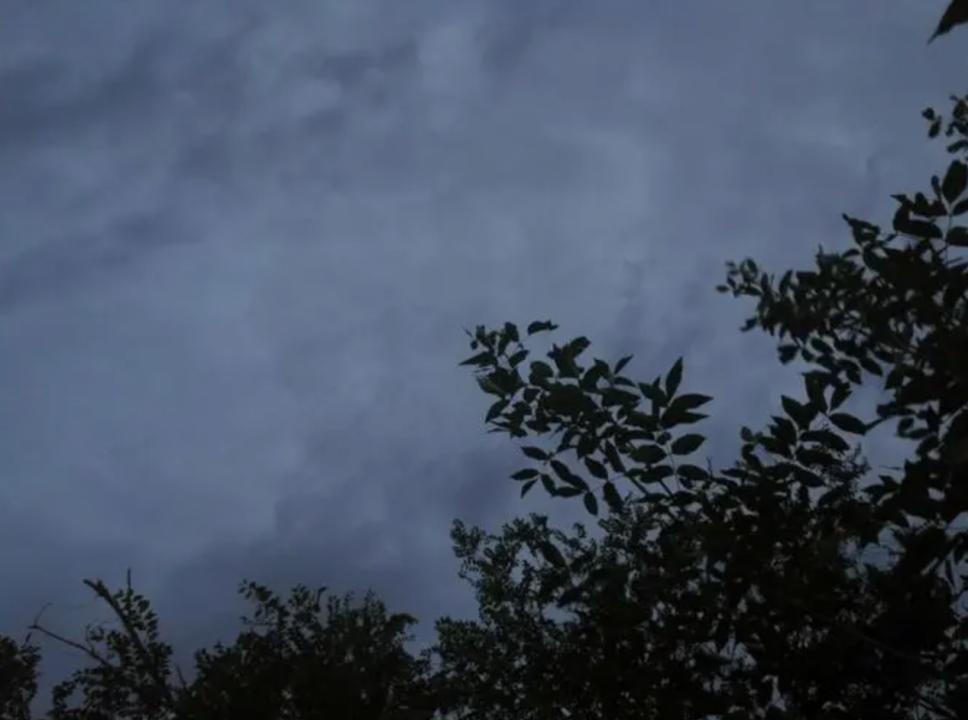 男子在山上捡到不知名小乌龟,男子在河里捡到一只小乌龟