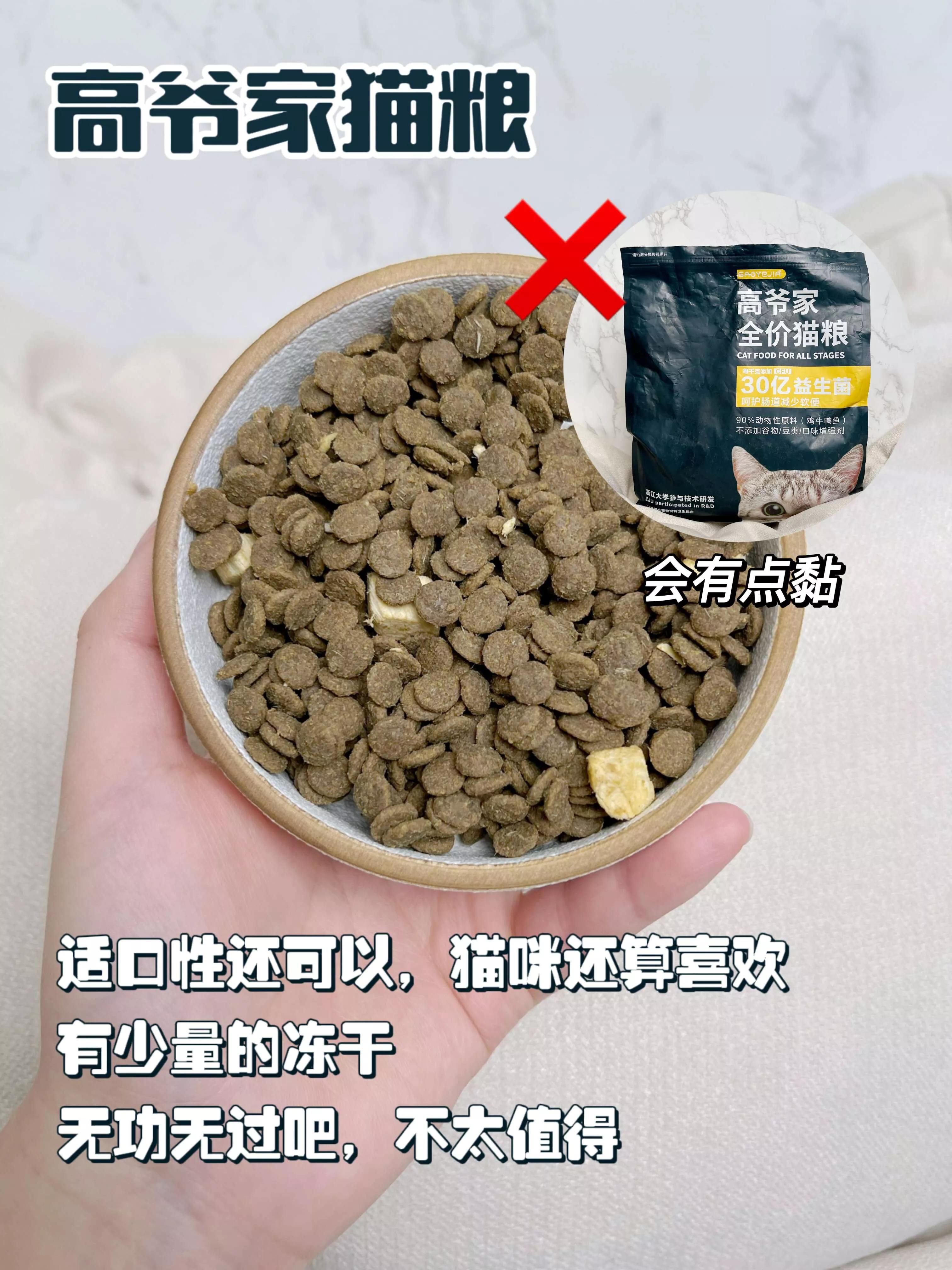 宠物店工作四年总结一些养狗知识,宠物店使用什么猫粮好些