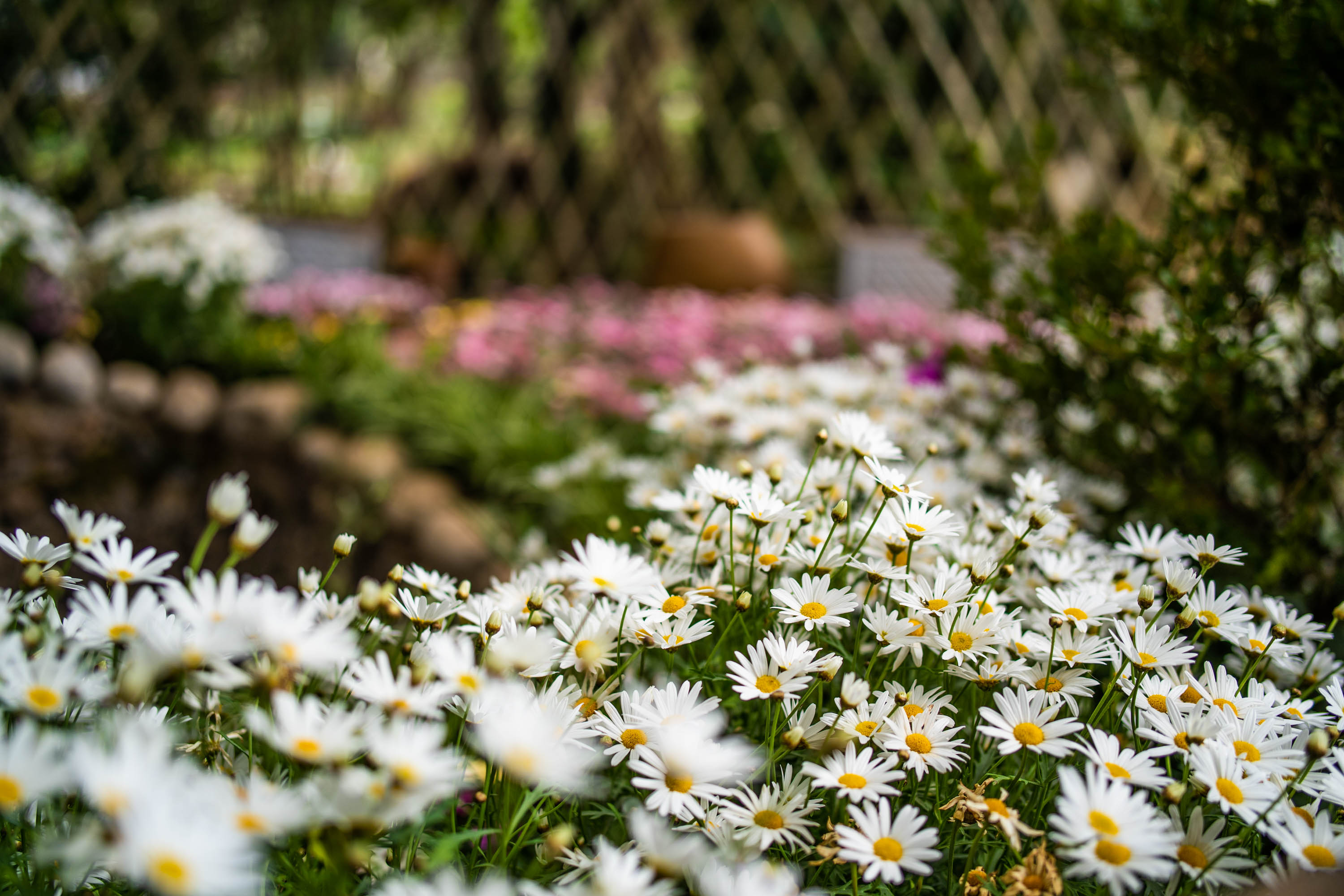 去云南跟团一日游攻略图片大全集,云南跟团六日游攻略大全图片