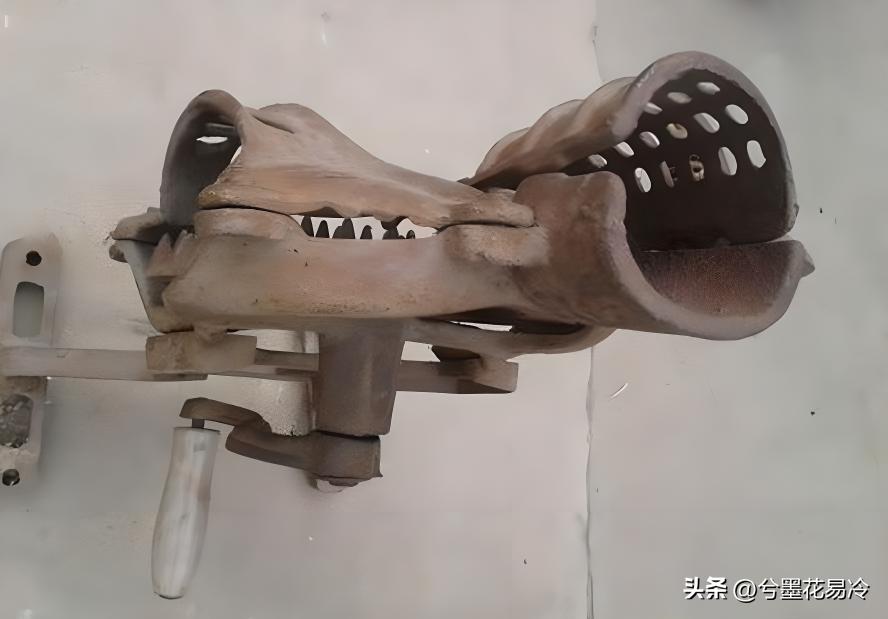 中国最后一位皇后婉容的下场,清朝最后一位皇后婉容照片