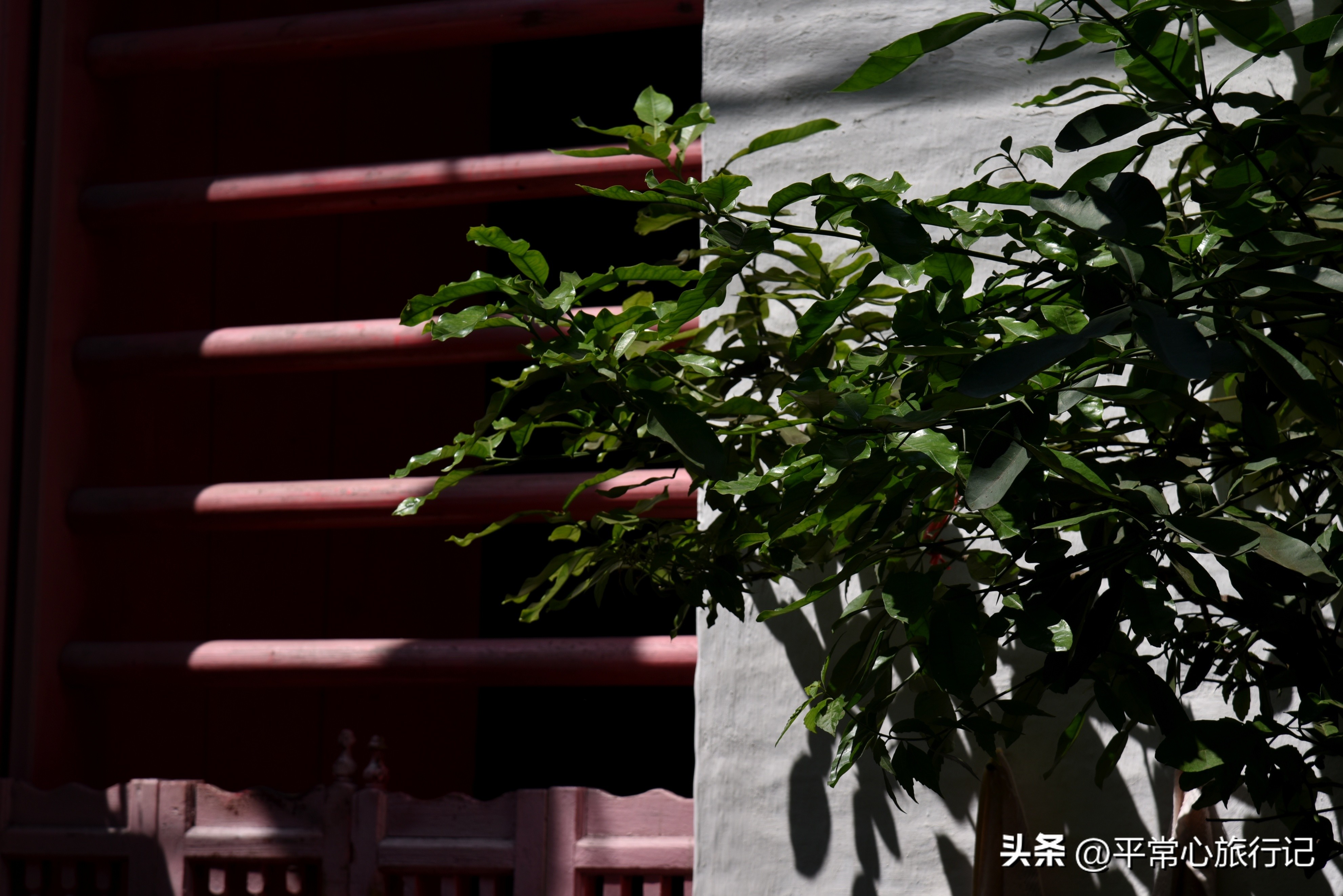 狂飙江门取景地打卡旧厂街,江门三十三墟街景点介绍