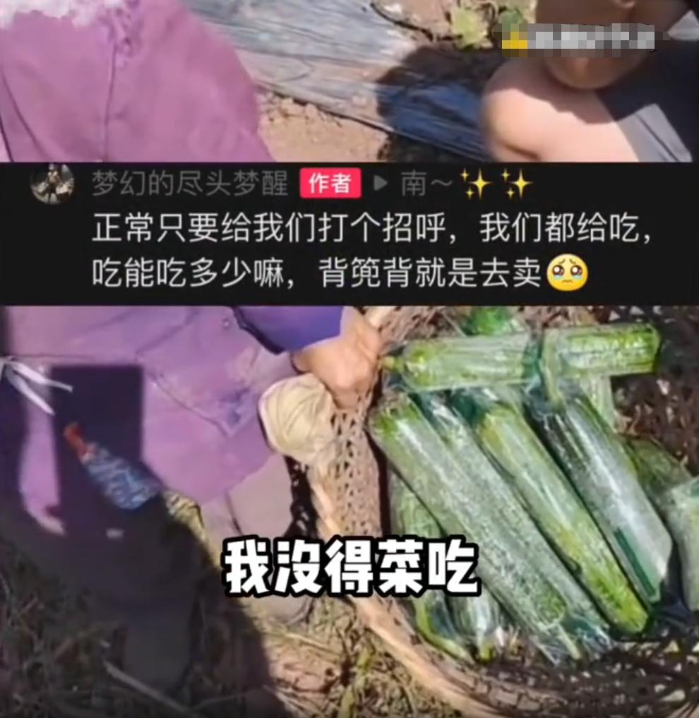 农村被人偷菜了报警怎么处理,老太太多次偷菜能报警吗