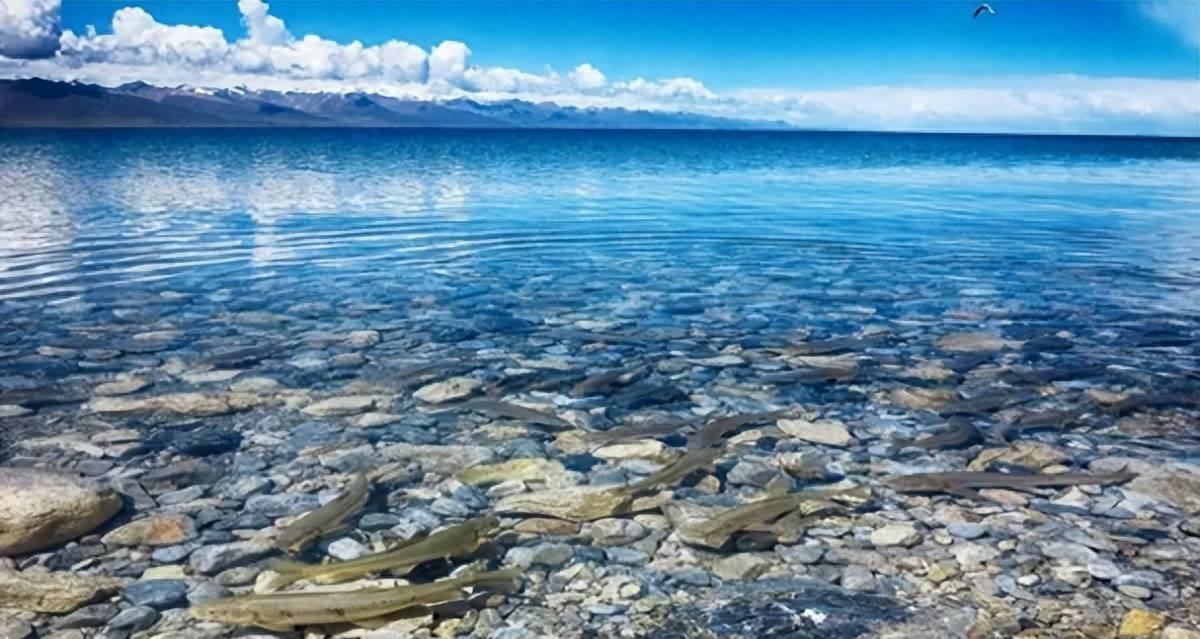 中国最大淡水湖纳木错湖,西藏纳木错中国最大的湖