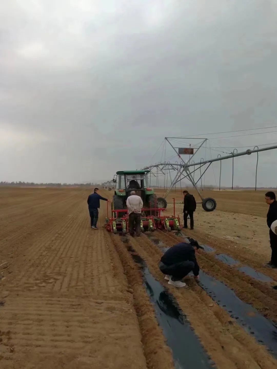 涓撹姝︾,钘滄皯鐧句俊楂樺師钘滈害