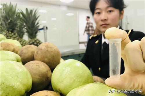 国考边检站笔试过后还有哪些流程,国考出入境边检面试