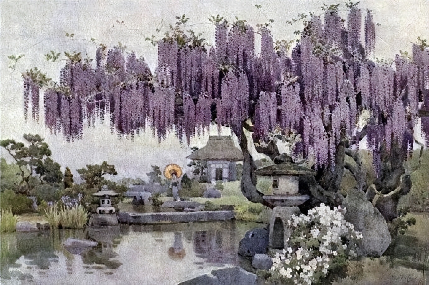 鑻卞浗鐢诲michael楂樻竻鍥剧墖浣滃搧,鑻卞浗姘村僵鐢诲elladucane缁樼敾浣滃搧