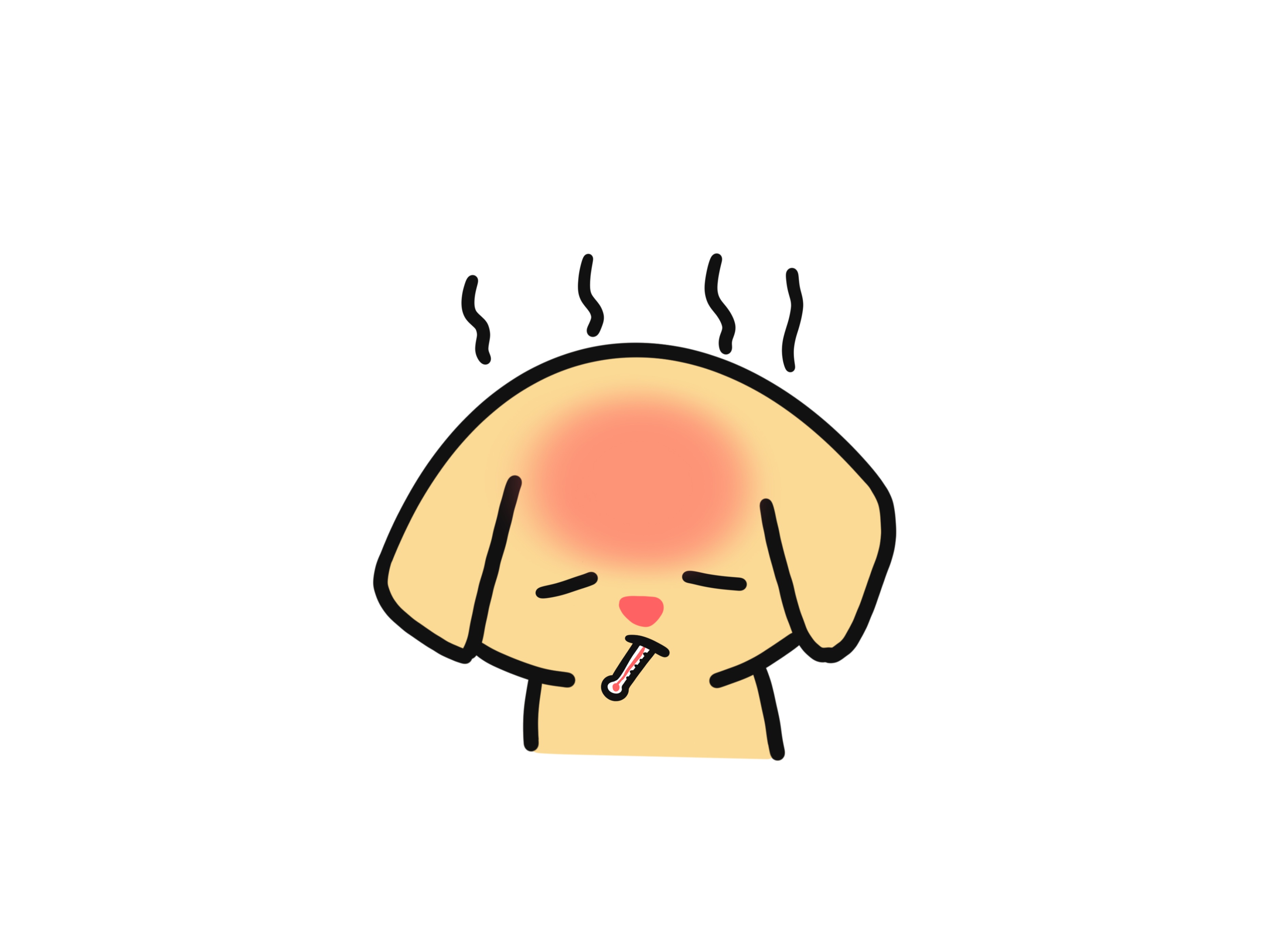 狗狗不吃食怎么办用什么药,狗狗不吃食怎么办