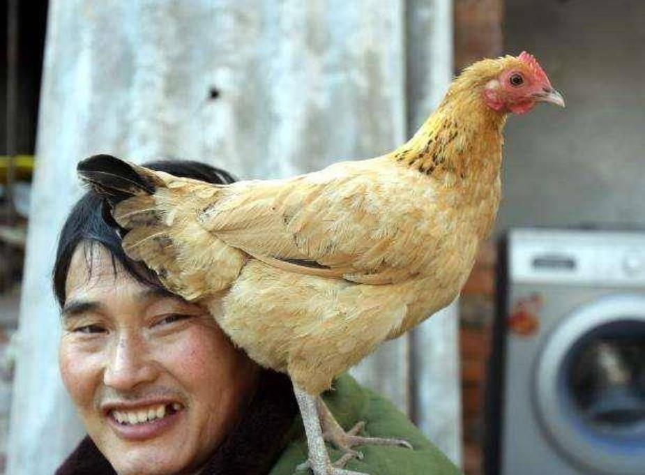 大衣哥出门被粉丝围了,大衣哥被堵门完整版