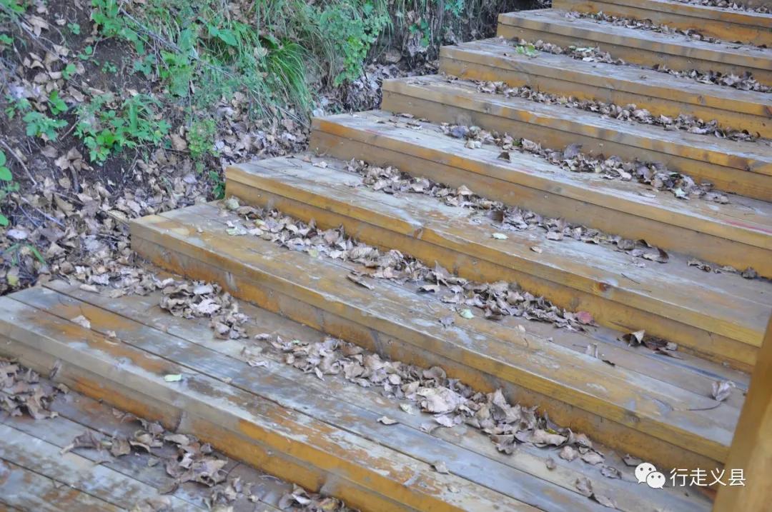 金秋十月看万山红遍层林尽染,金秋十月看红叶的诗句