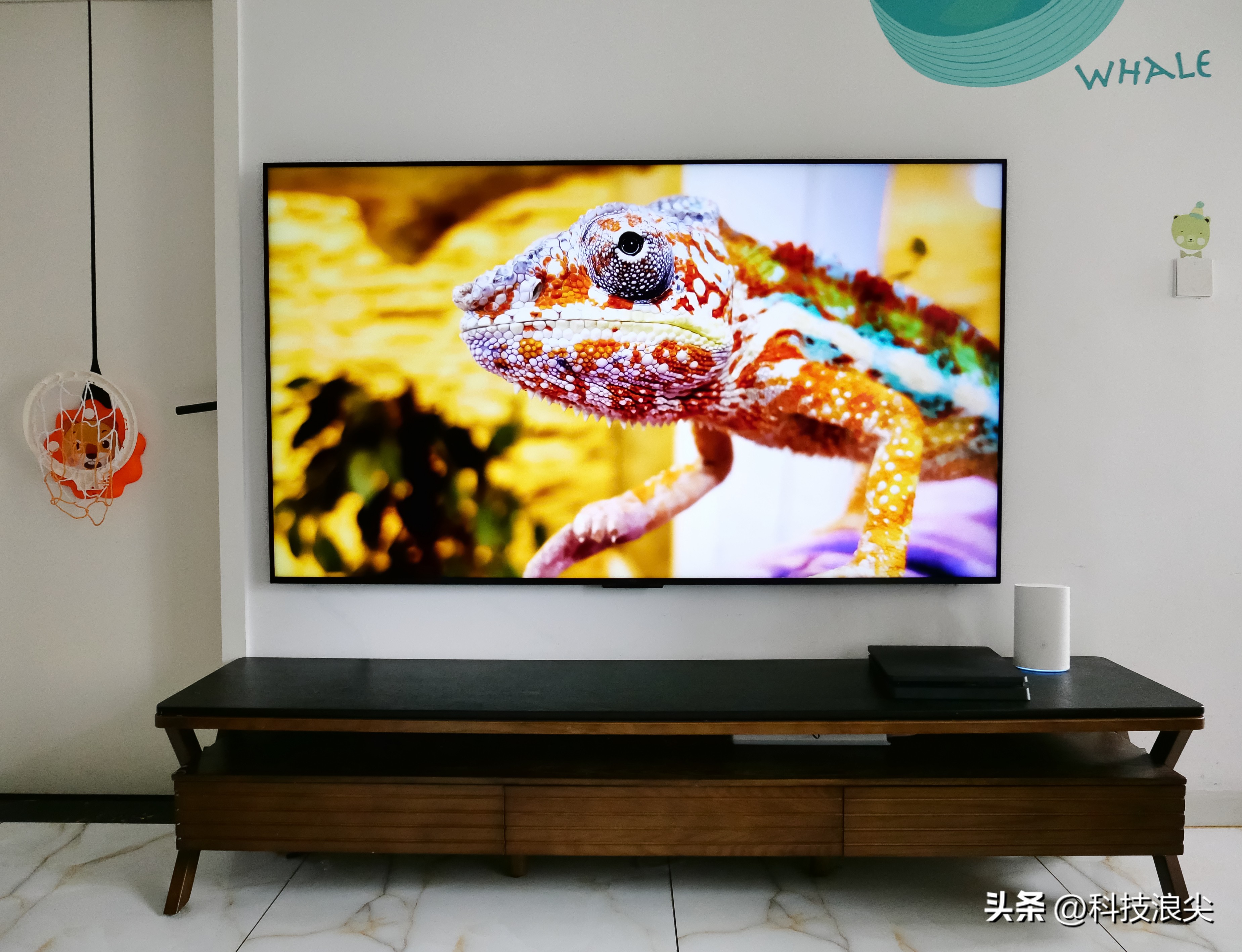 tclq10h浠嬬粛瑙嗛,tclq10g瑙傚奖鏁堟灉