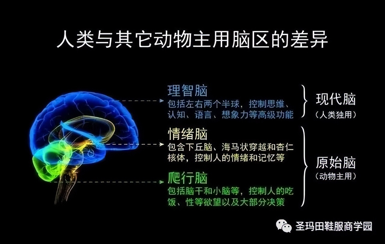 如何提升计算机硬件水平,计算机升级操作有哪些方法