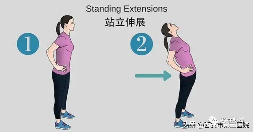 脊柱科普教学视频,关于腰椎间盘的科普知识