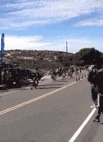 最美丈母娘火了女婿表示也很无奈,最美丈母娘火了女婿表示很无奈