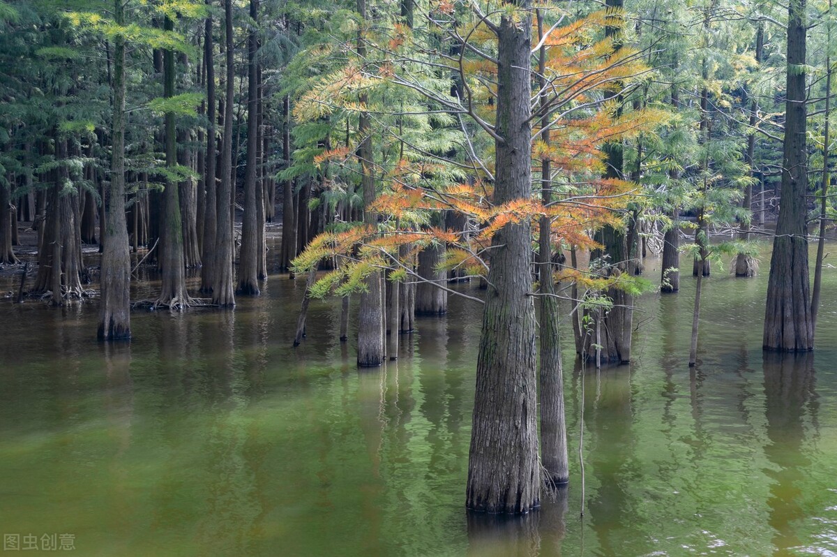 尿多老是不好,晚上尿多老起夜怎么办