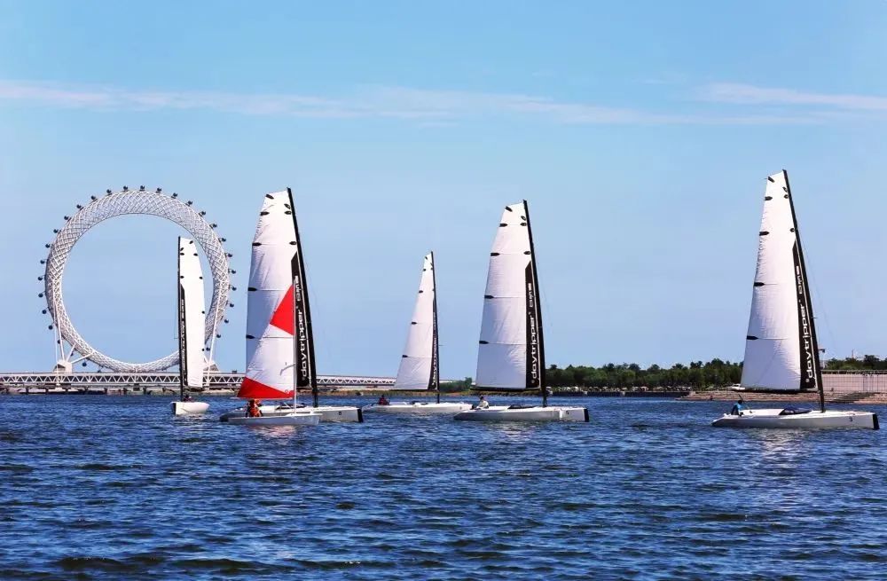 跟团去山东旅游,跟团去欧洲旅游游记
