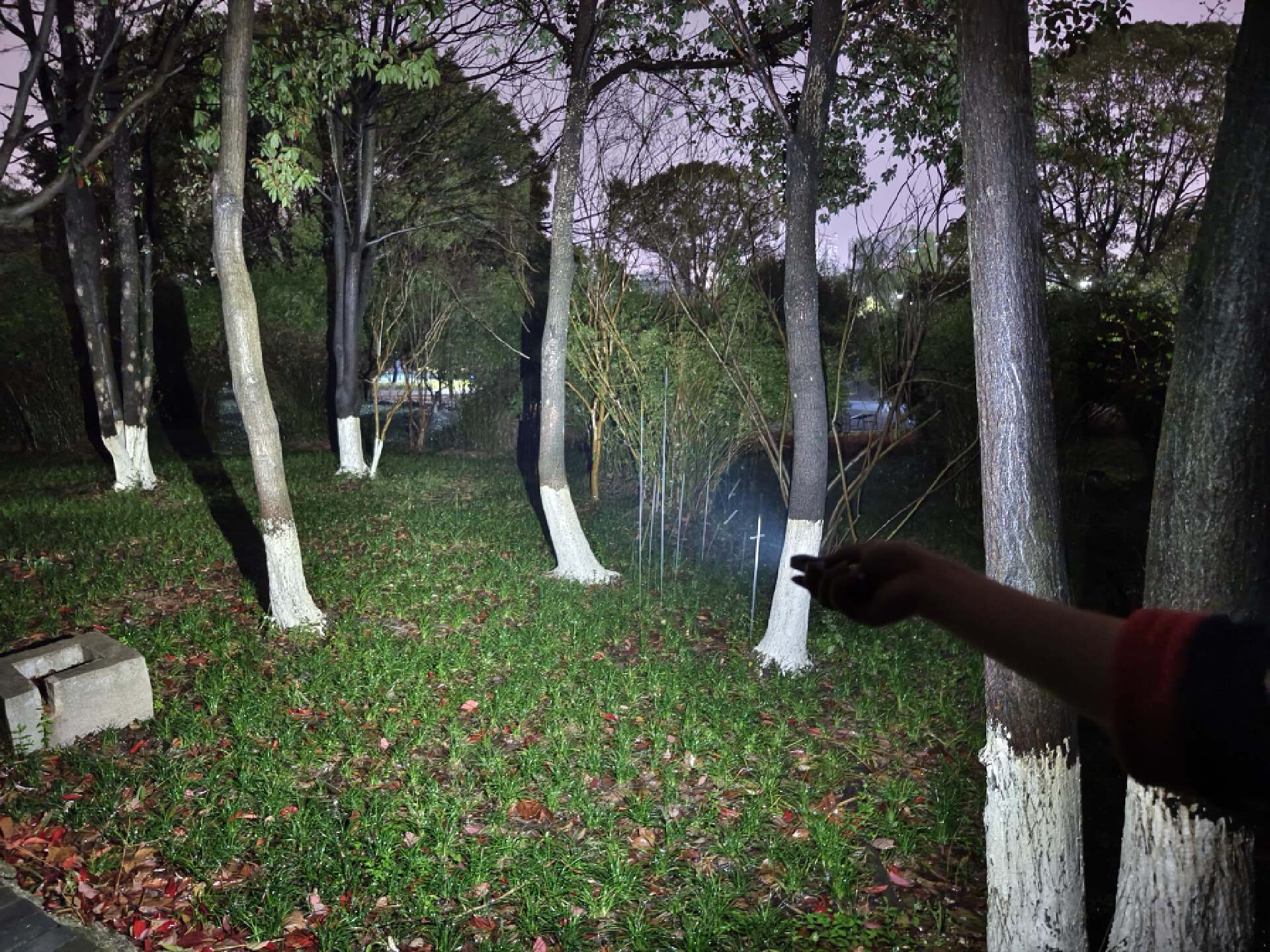 傲雷最好的手电是哪一款,傲雷最值得购买的手电筒