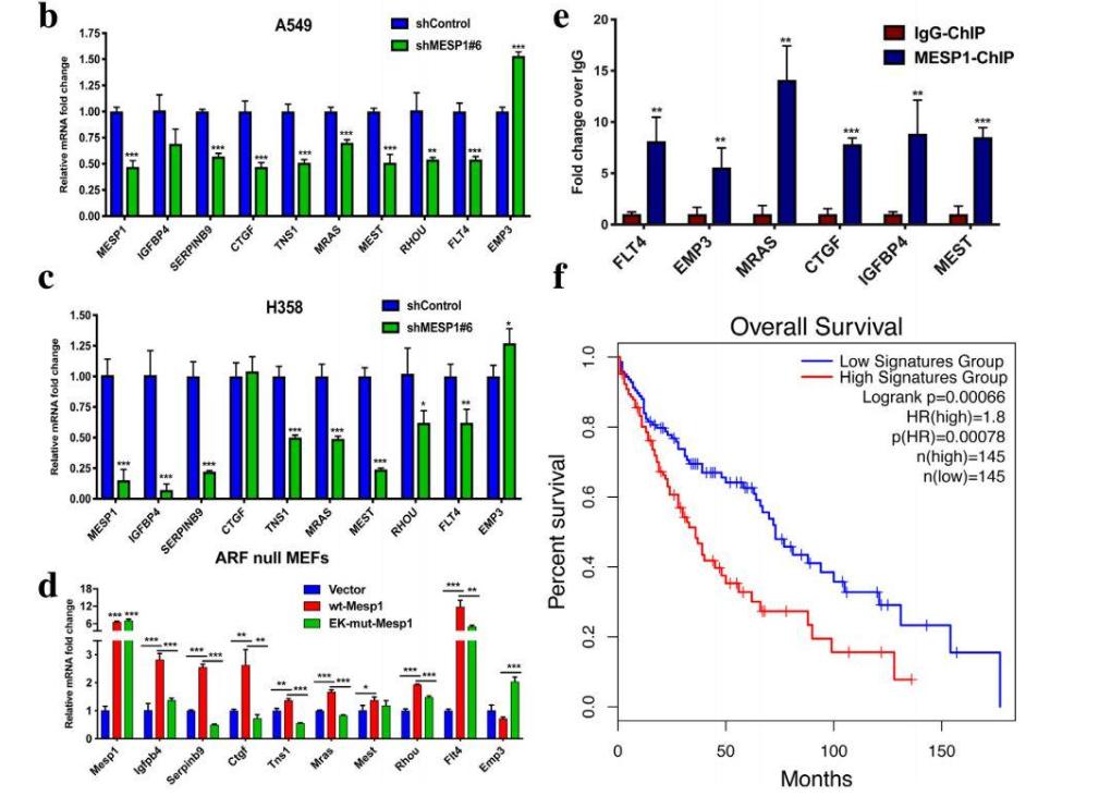 研究菌群,研究肠道微生物的生态学意义
