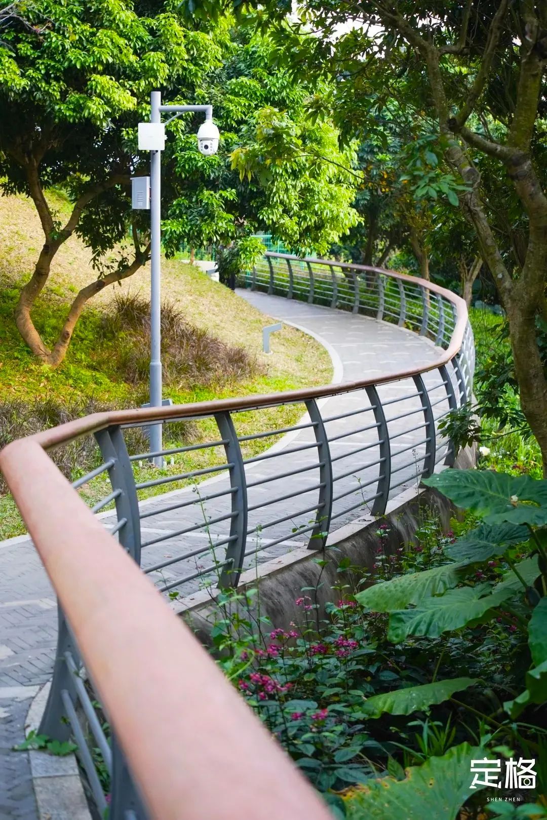 深圳十条景美徒步路线推荐,深圳水库徒步路线图