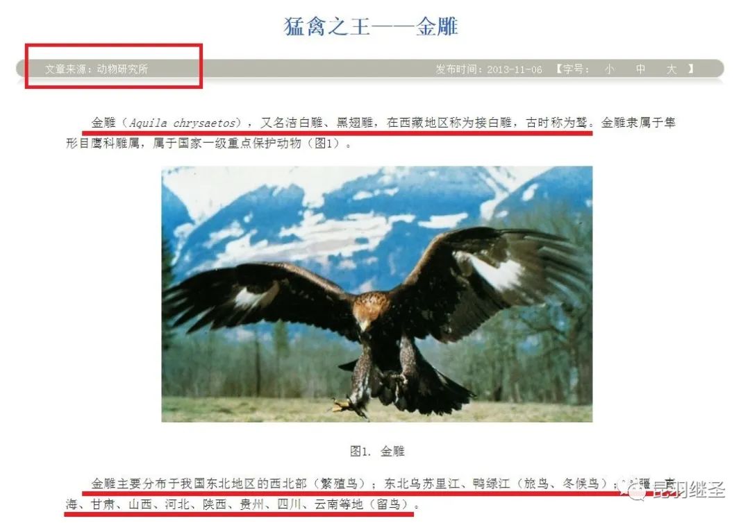 扒一扒西方历史,扒一扒张大千的画皮