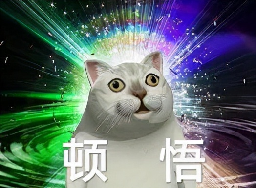 素力高猫粮和百利猫粮哪个好,素力高猫粮和鲜朗哪个好