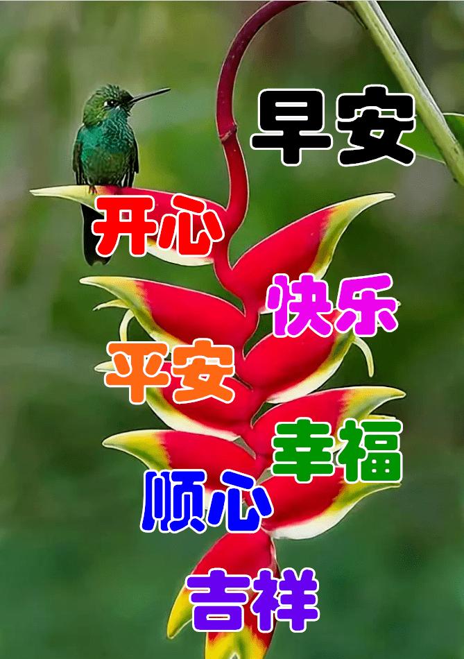 早安心语励志语录精辟,早安心语励志语录经典短句图片