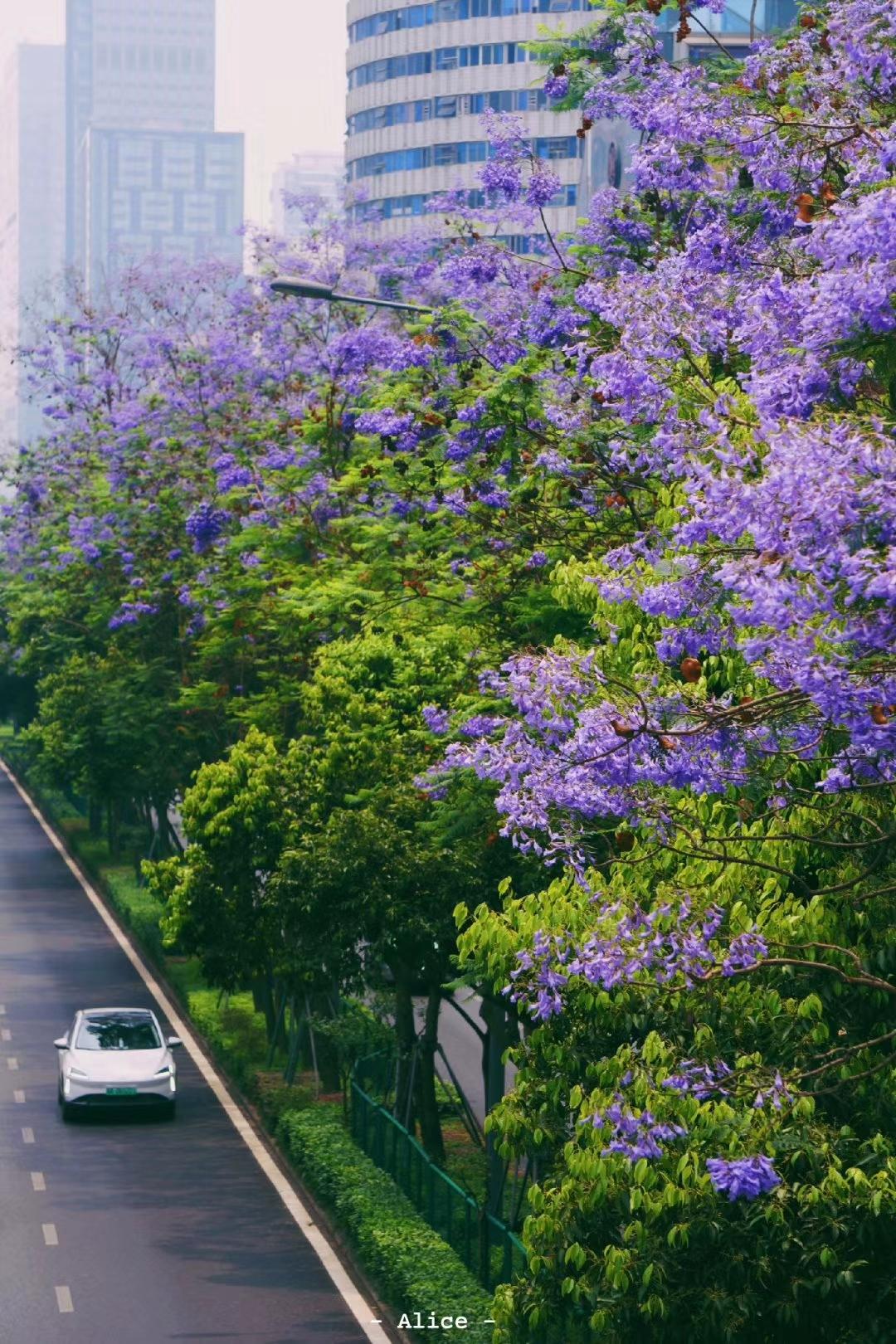 成都有哪些好玩的网红打卡地,成都网红打卡地最新旅游景点