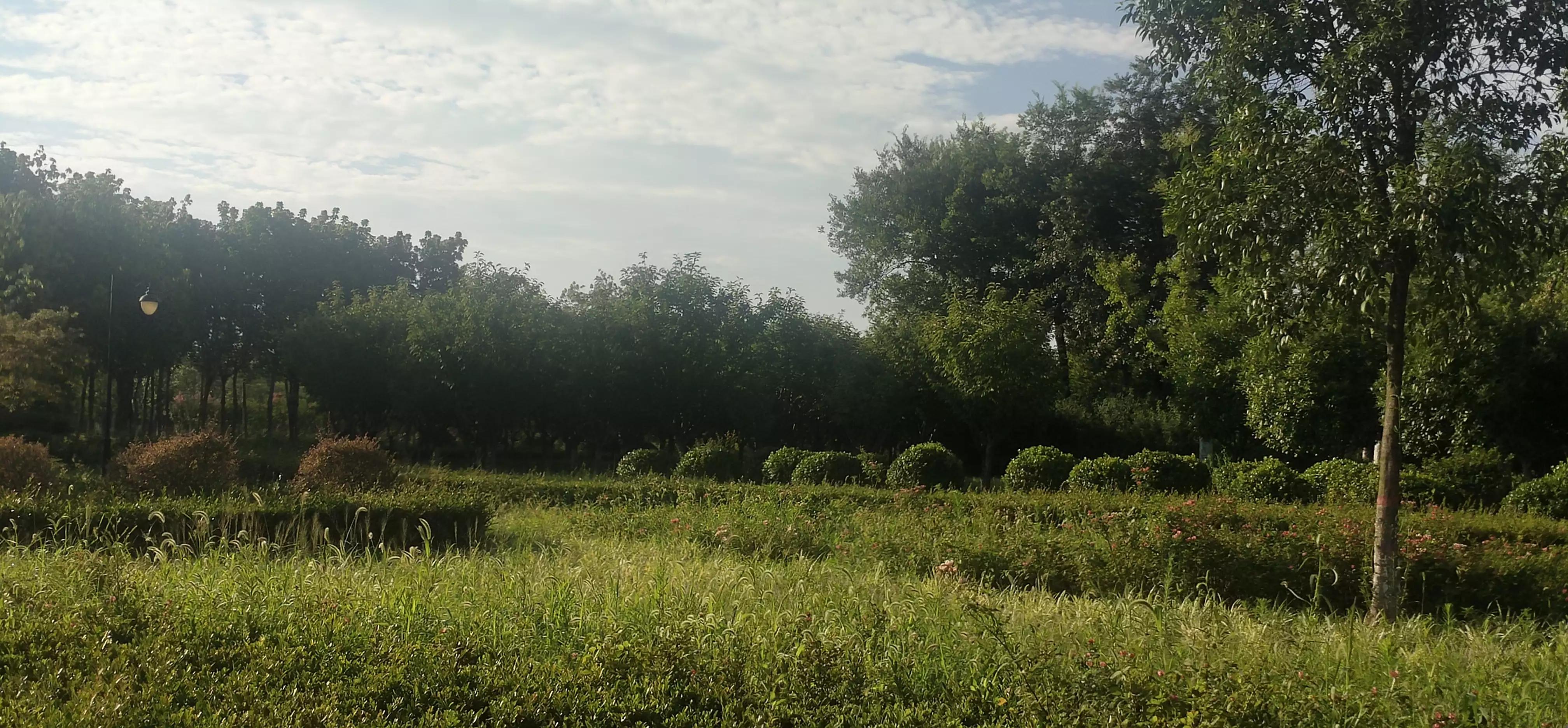 跑步无伤跑到地老天荒,跑步10年总结10条无伤跑秘籍